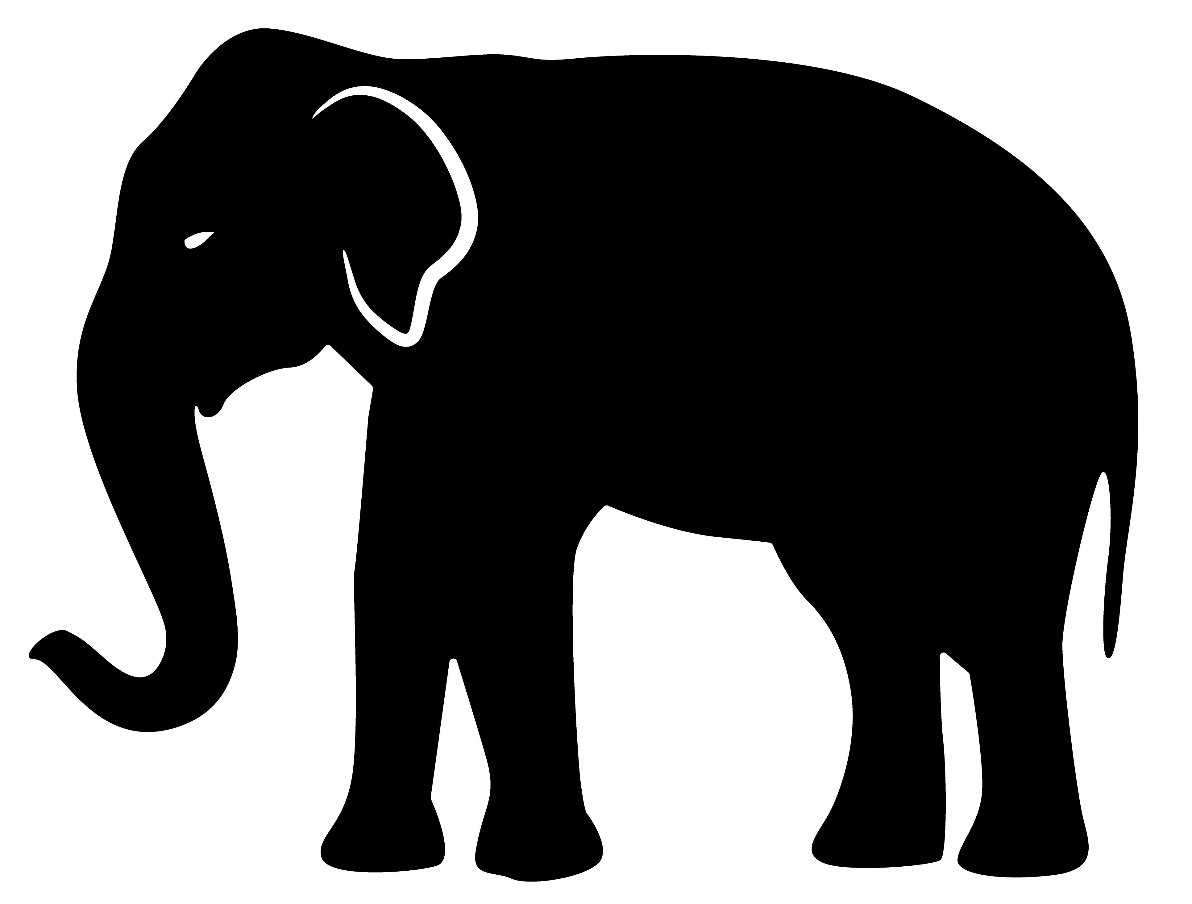 The Elephant's Debt